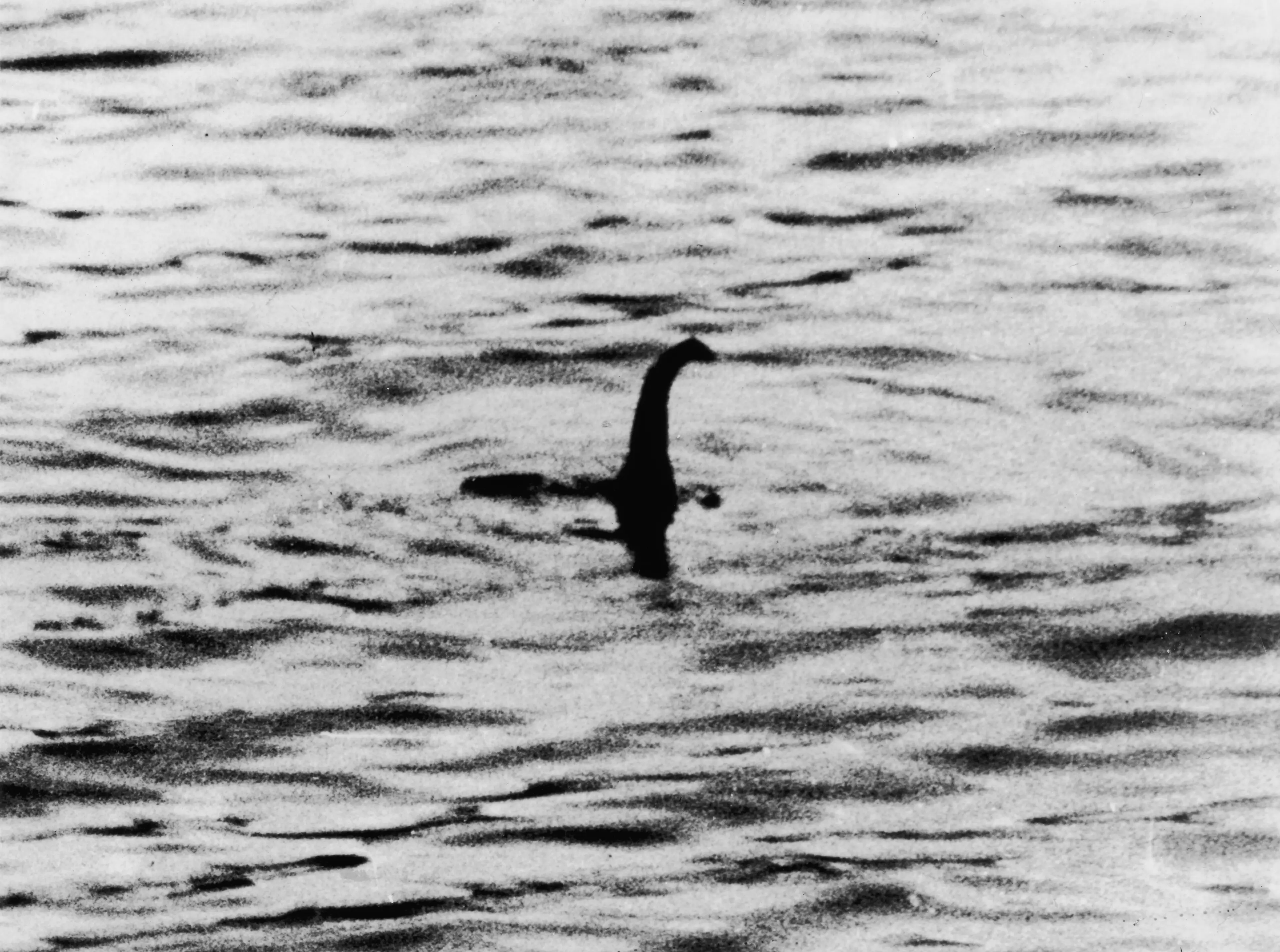 This famous image claiming to be a sighting of the Loch Ness Monster turned out to be fake (Keystone/Getty Images)