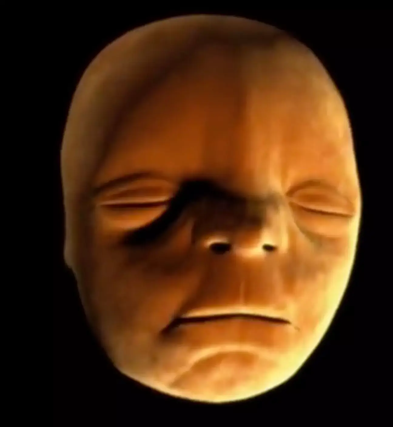 People have been left amazed by the insightful simulation.