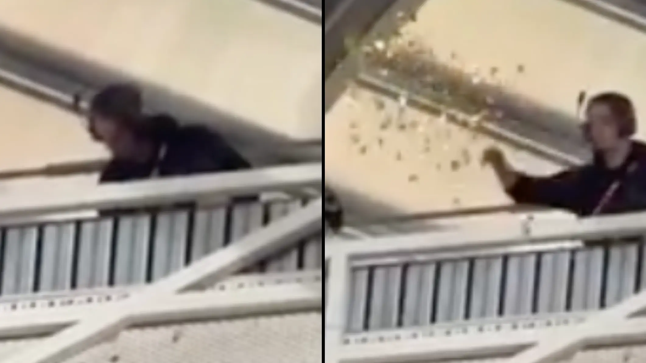 Instagram/@sportbibleaustralia