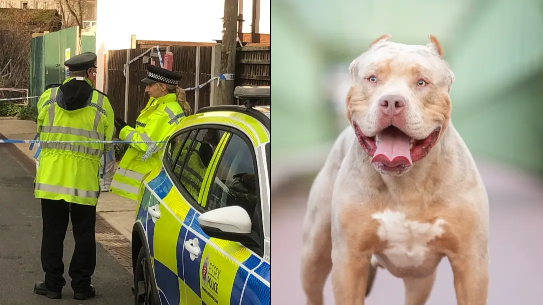 Gwyn Wright/PA Wire/Alexandre Bauer/Getty Stock Images