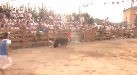 He was hit by the charging bull (X)