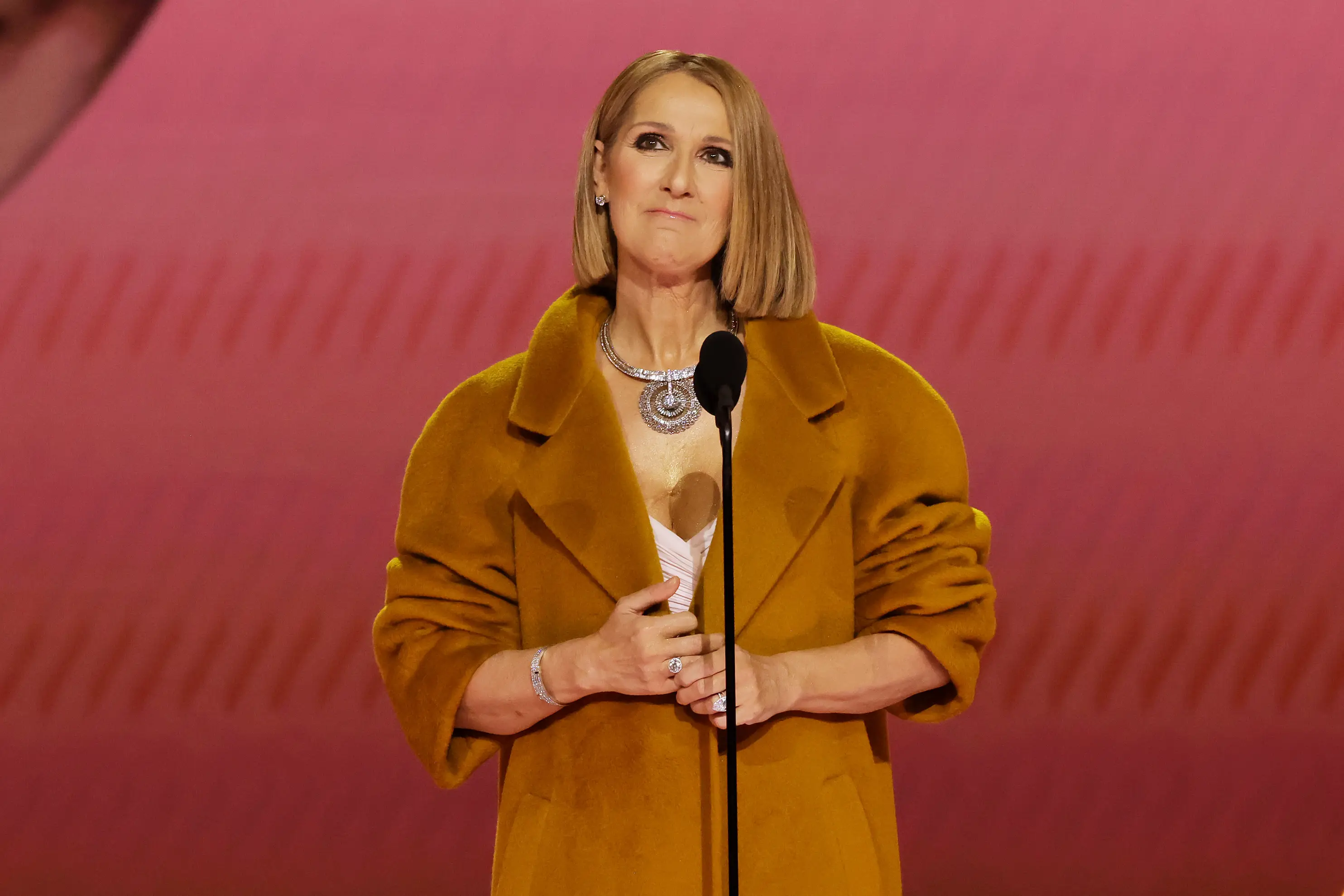 Céline Dion revealed she had stiff-person syndrome in 2022 (Kevin Winter/Getty Images for The Recording Academy)