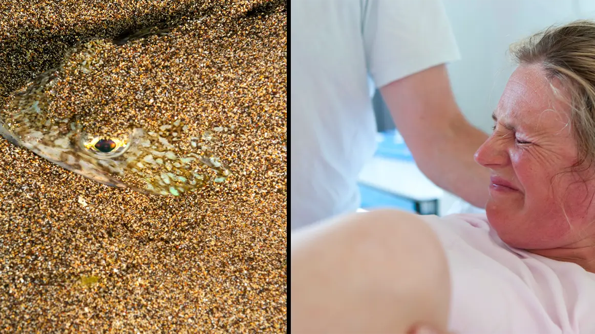 Charles Stirling (Diving)/Alamy Stock Photo/Picture Partners/Alamy Stock Photo