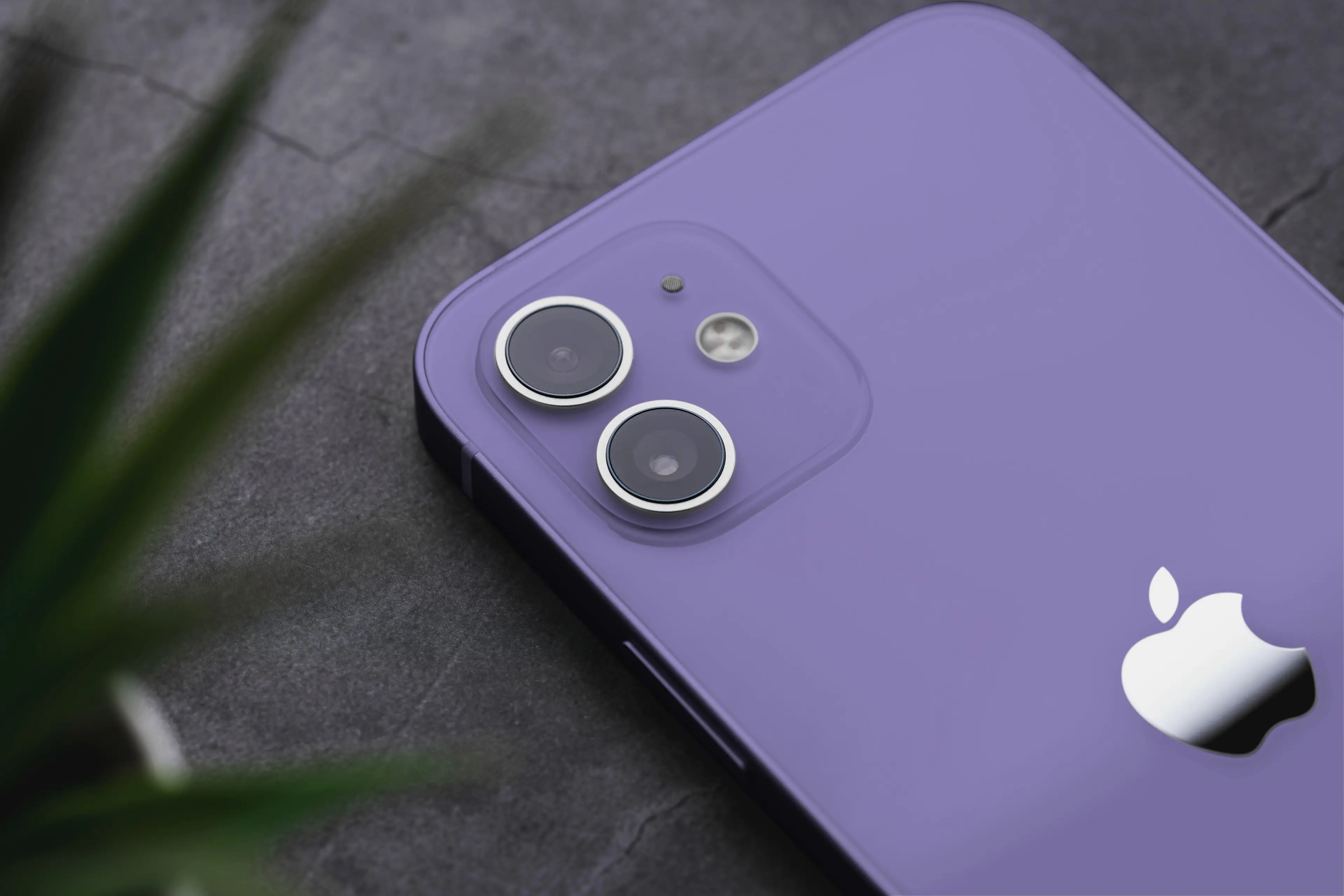 iPhones and other smart phones do need to be cleaned out occasionally.