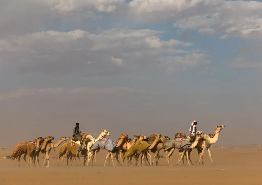 The Rub' al Khali empty quarter desert (Eric Lafforgue/Art in All of Us/Corbis via Getty Images)