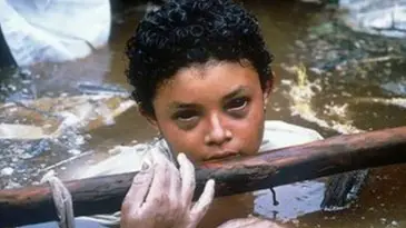 Langevin Jacques/Getty Wikimedia Commons