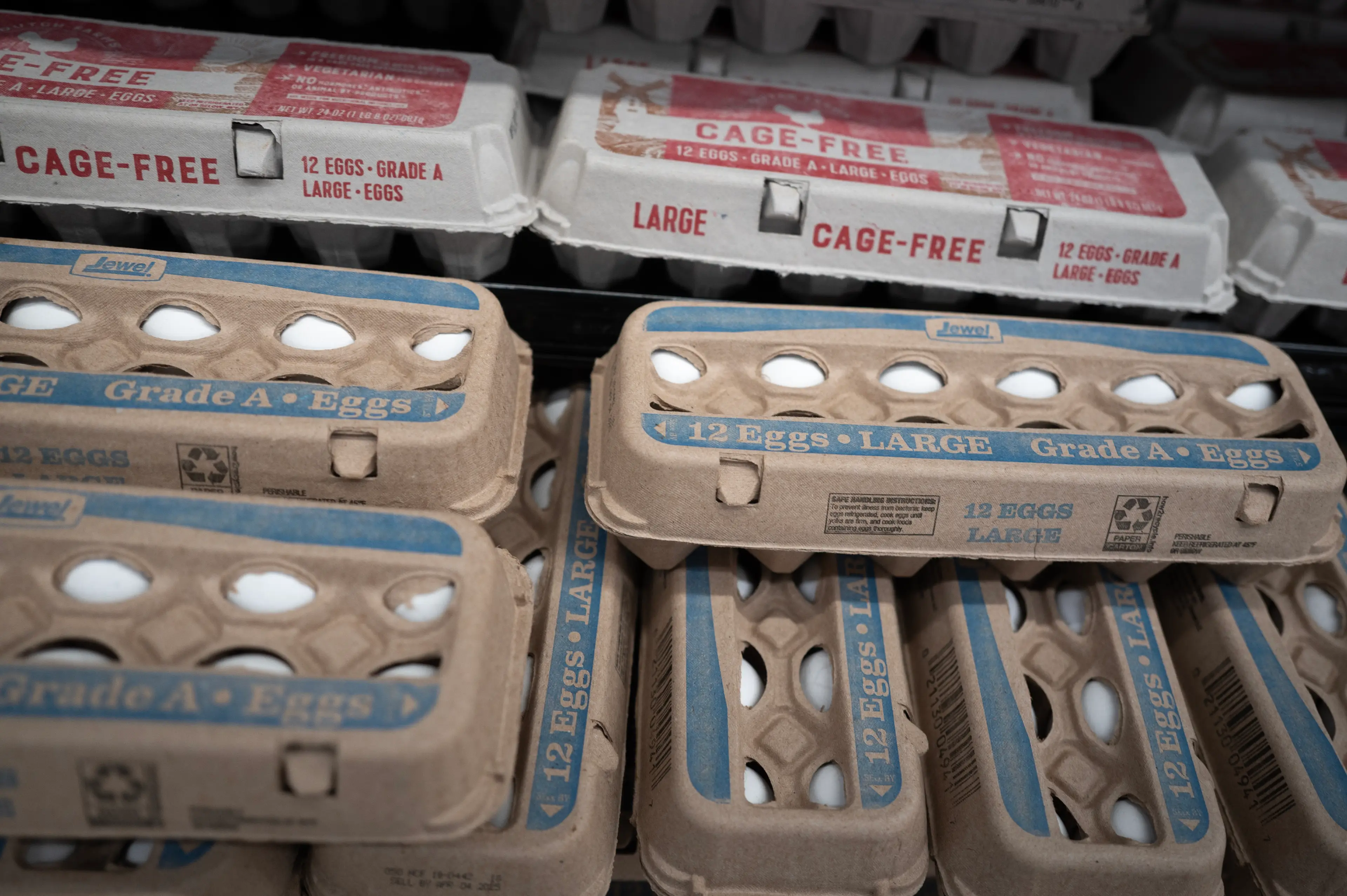 "We just got back from nine months in space, why are you so fixated on egg prices these days?" (Scott Olson/Getty Images)