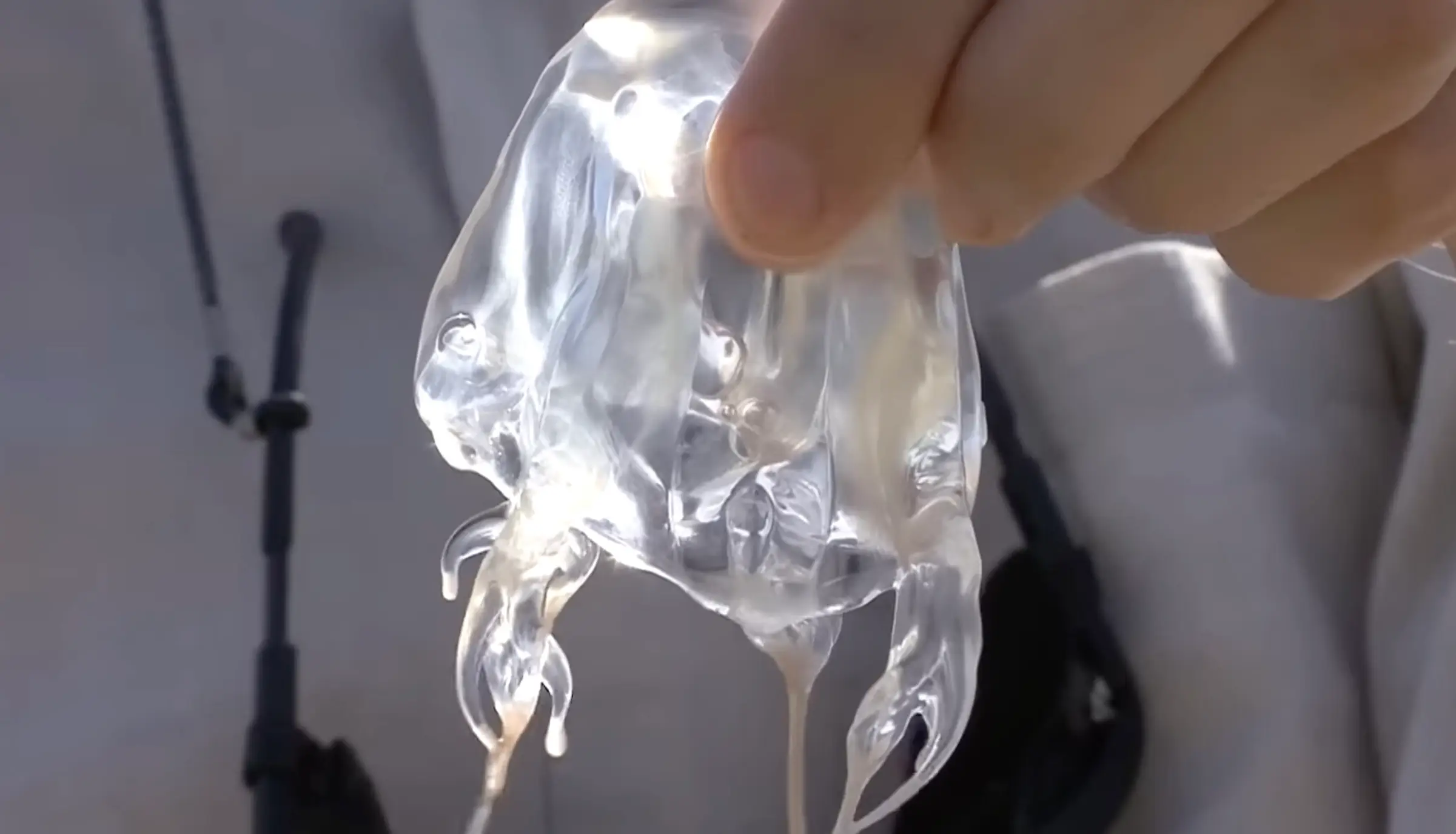 George Kourounis stung himself with one of the most venomous creatures on earth, the box jellyfish (YouTube/George Kourounis)