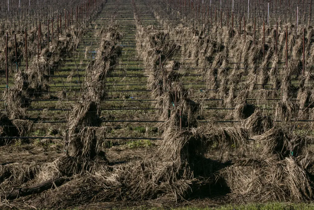 Effects of an El Niño are felt around the world, and in the future the volatile weather could have more of an impact on Europe (George Rose/Getty Images)