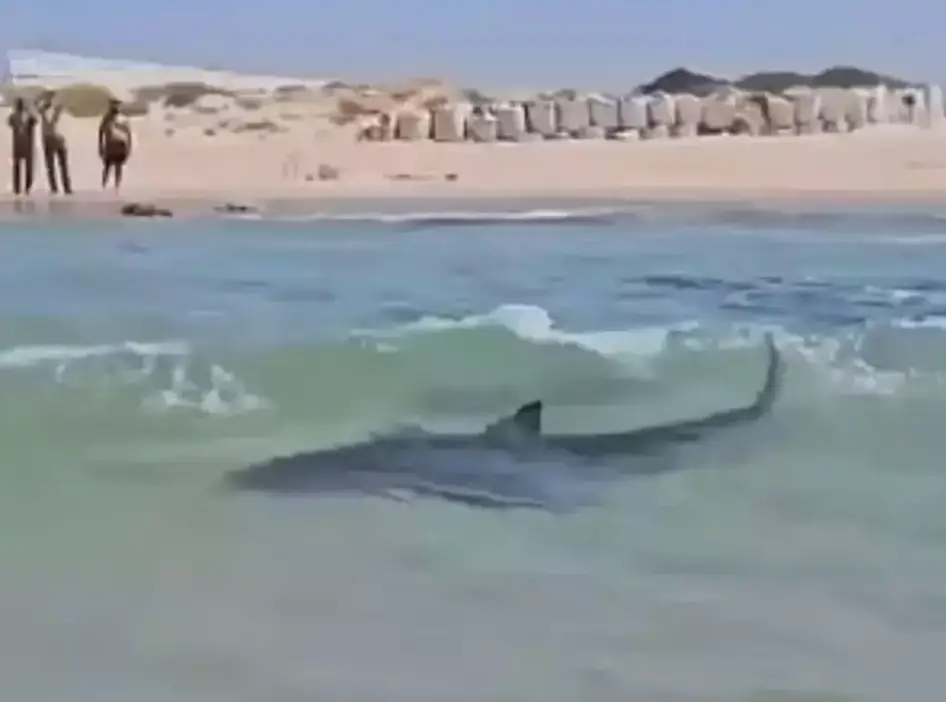 The attack occurred in front of beachgoers in Israel (X)