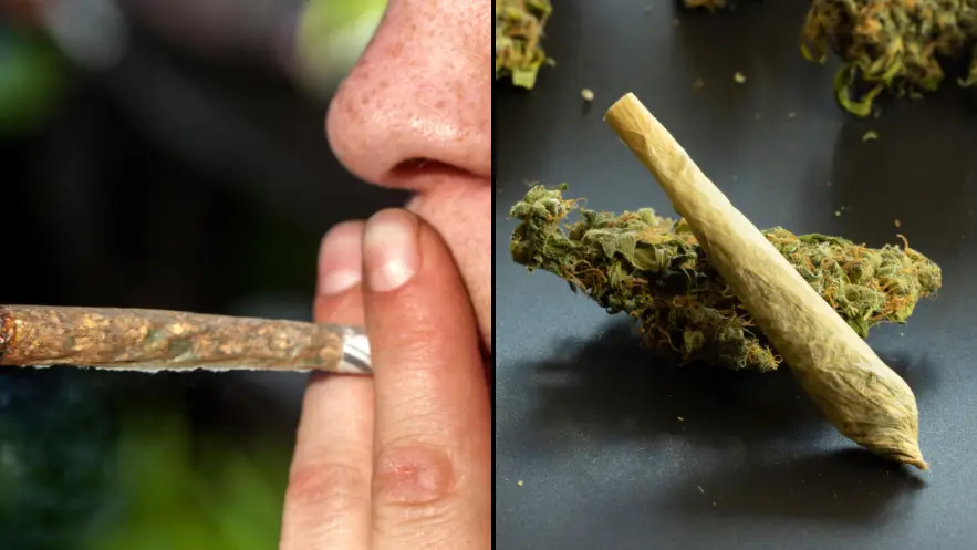 Cum Okolo/Alamy Stock Photo/Postmodern Studio/Alamy Stock Photo