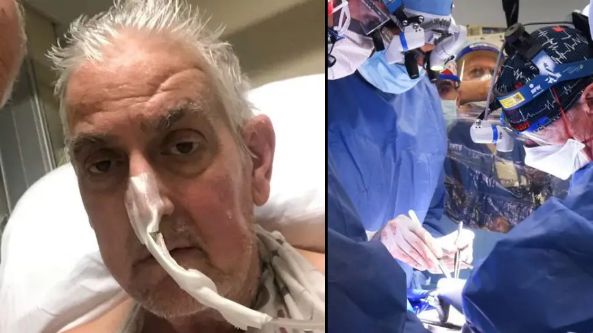 First Pig Heart Transplant Patient May Have Died Due To Virus Animal Was Carrying