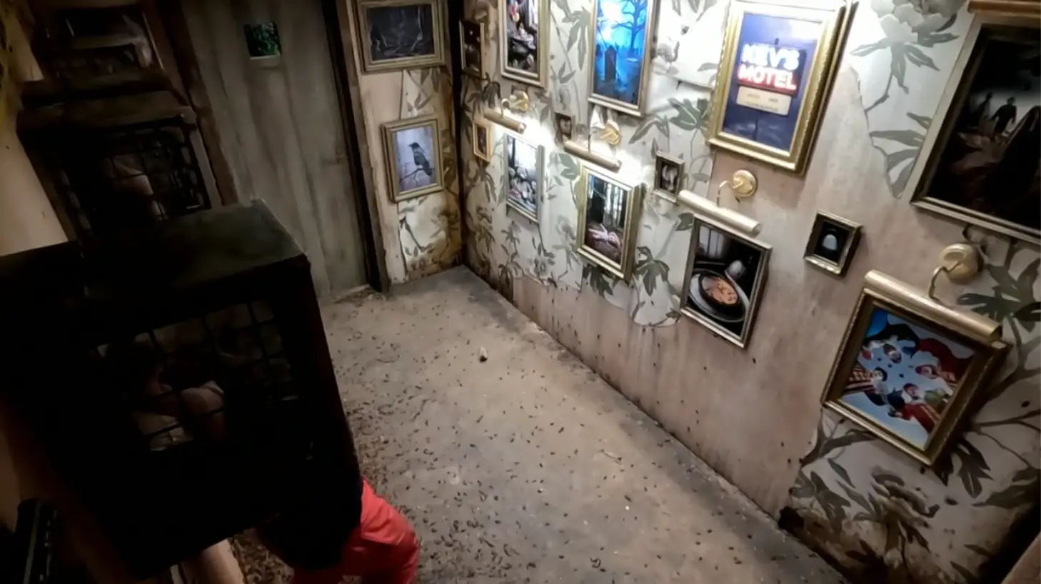 I'm A Celeb was accused of using AI last night (ITV)