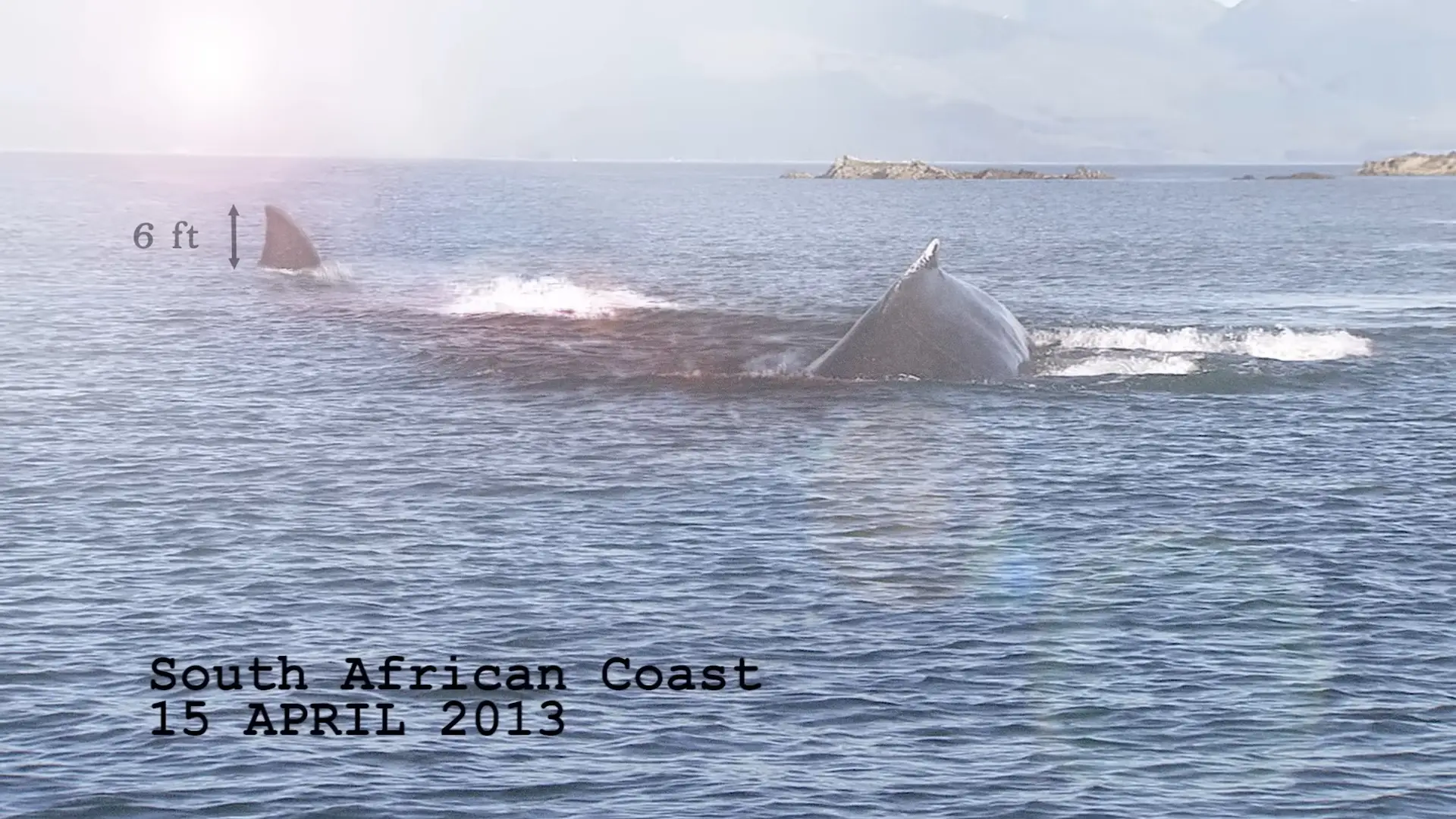 Could it be real? Probably not, but try imagining some fun in the world. (YouTube/Discovery)