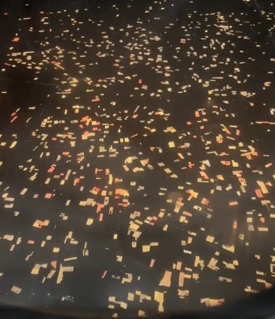 Dragon fruit farms are often lit at night to boost growth.