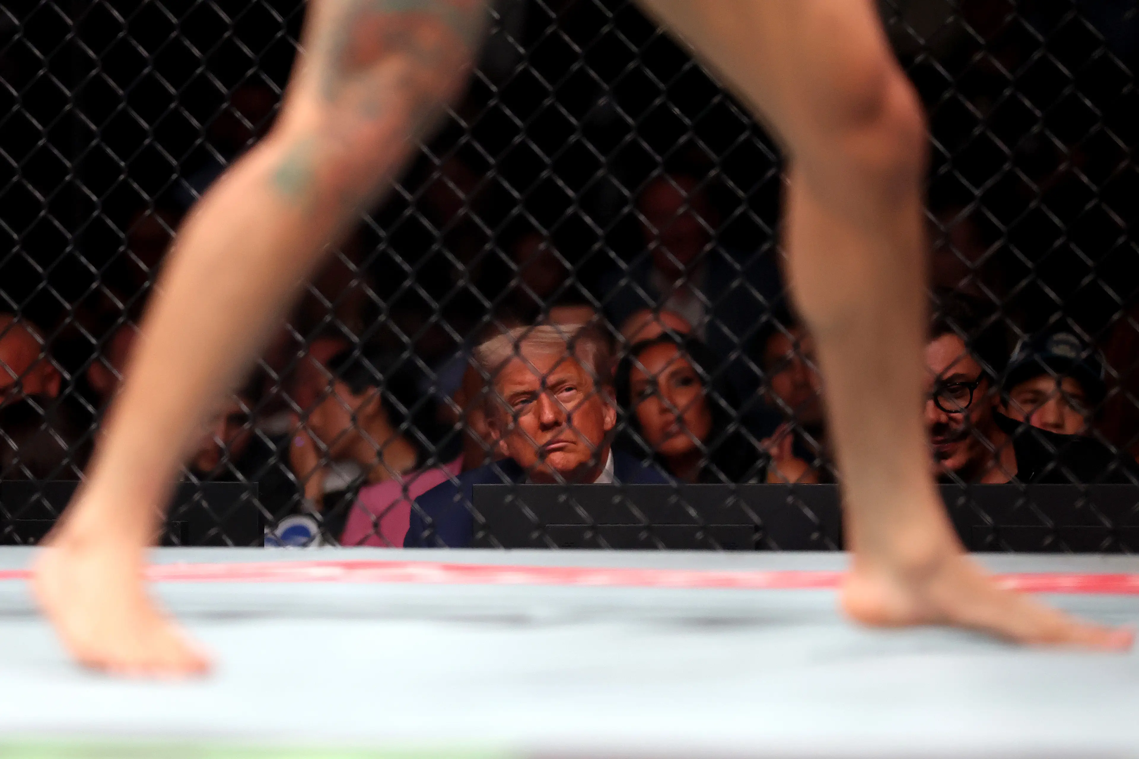 The controversial UFC event announced by Trump is part of the celebrations for America's 250th birthday next year (Elsa/Getty Images)