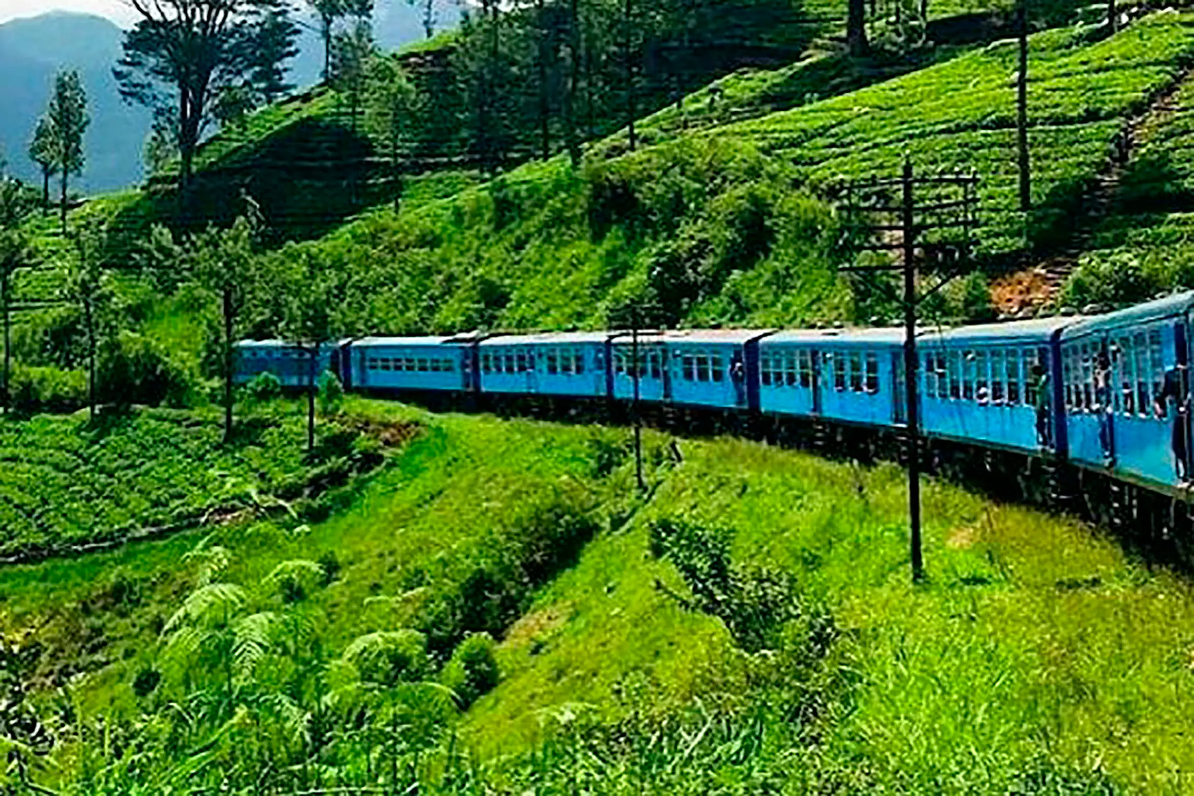 The grandmother had been travelling along the Podi Menike train route when and decided to lean out of the carriage for a selfie (East2West)