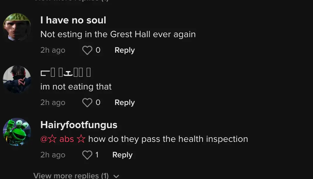 Some gamers were alarmed by the lack of food safety and health regulations being implemented in the Hogwarts kitchen.