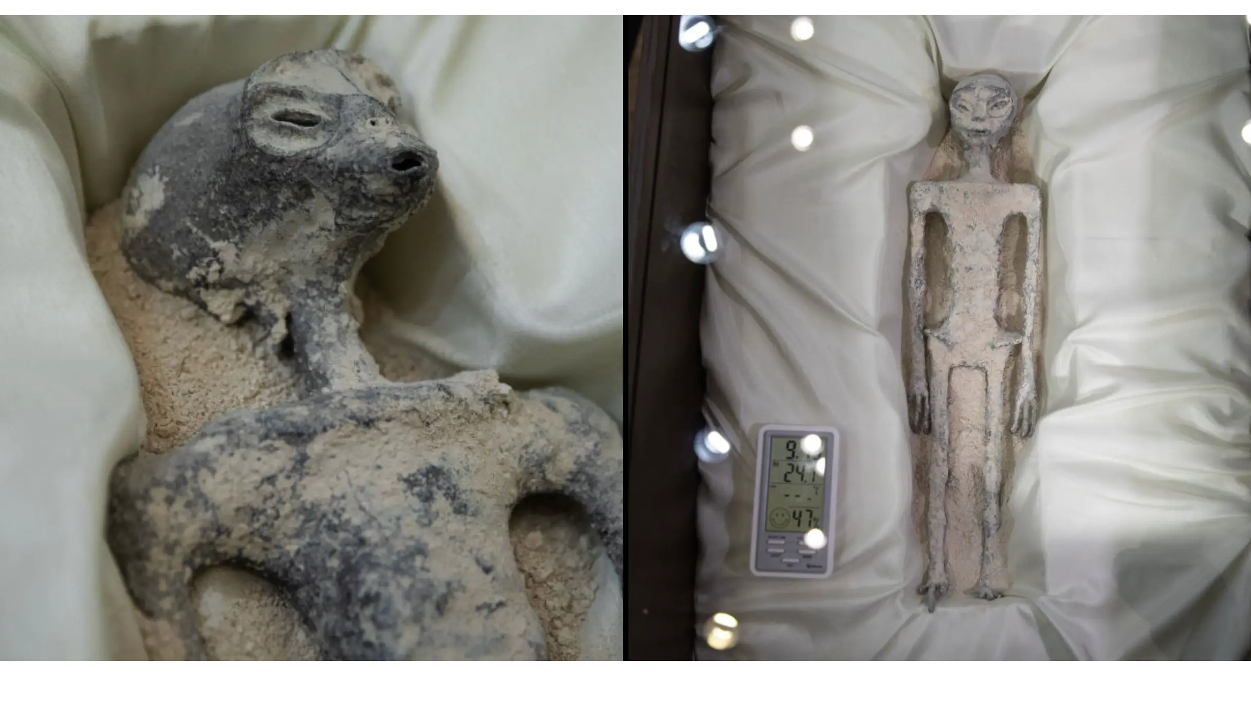 Daniel Cardenas/Anadolu Agency via Getty Images