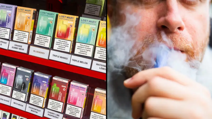 Andrew Aitchison/Getty/Stock Image