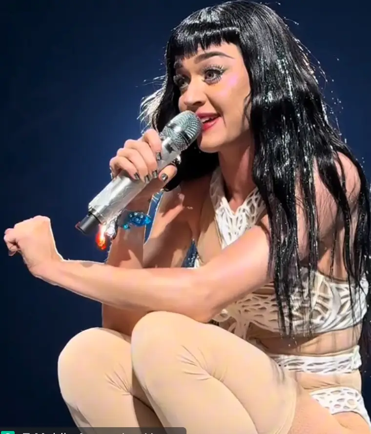 Katy Perry left one of her fans speechless during her Lifetimes world tour (TikTok/@143katyperry)