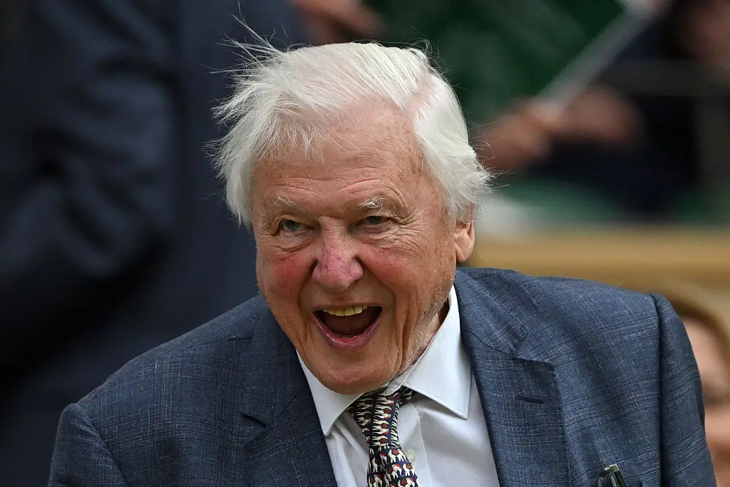 Sir David turned 100 this year