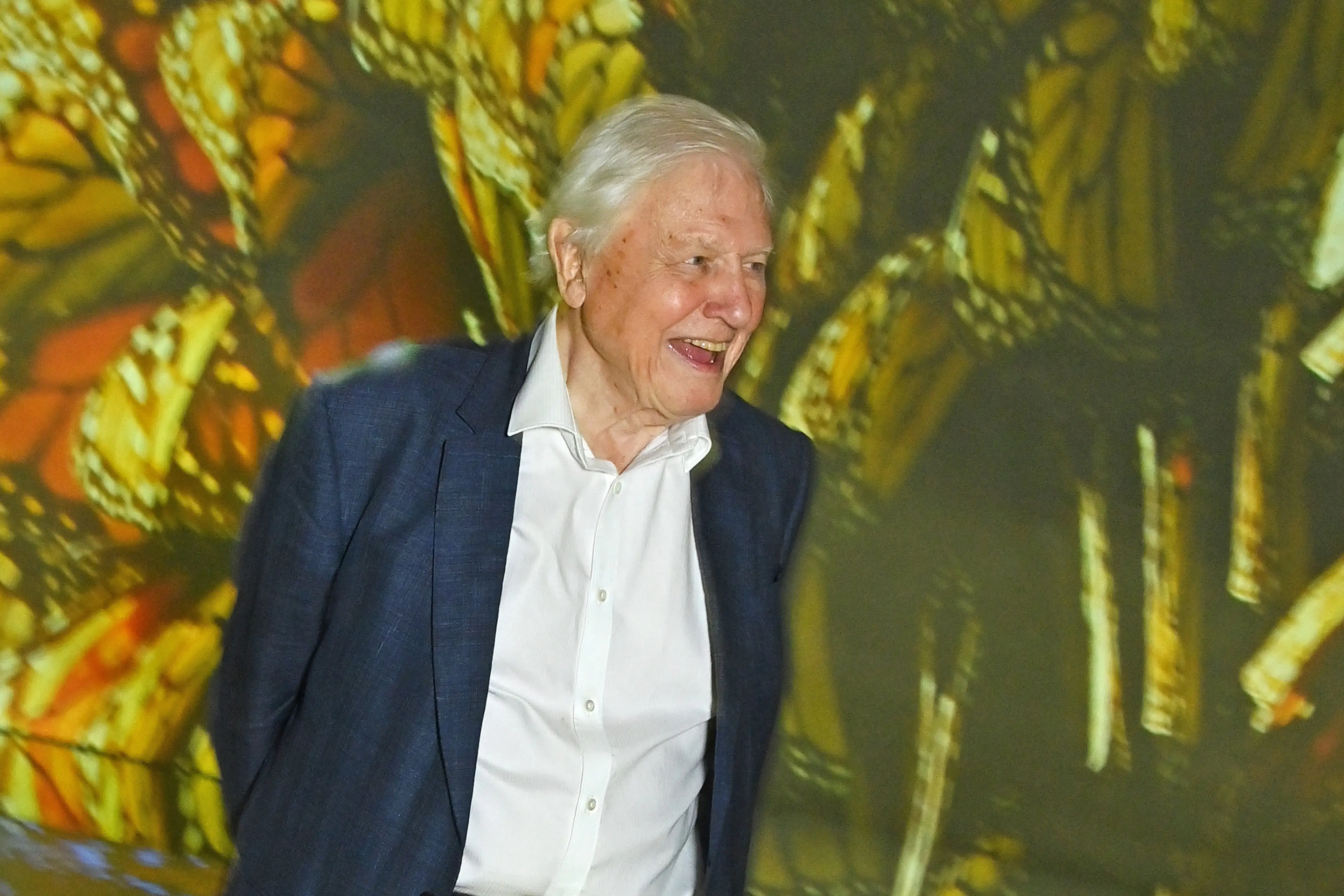 We won't always have the wonderful man that is Sir David Attenborough, but we can do right by him (Dave Benett/Getty Images)