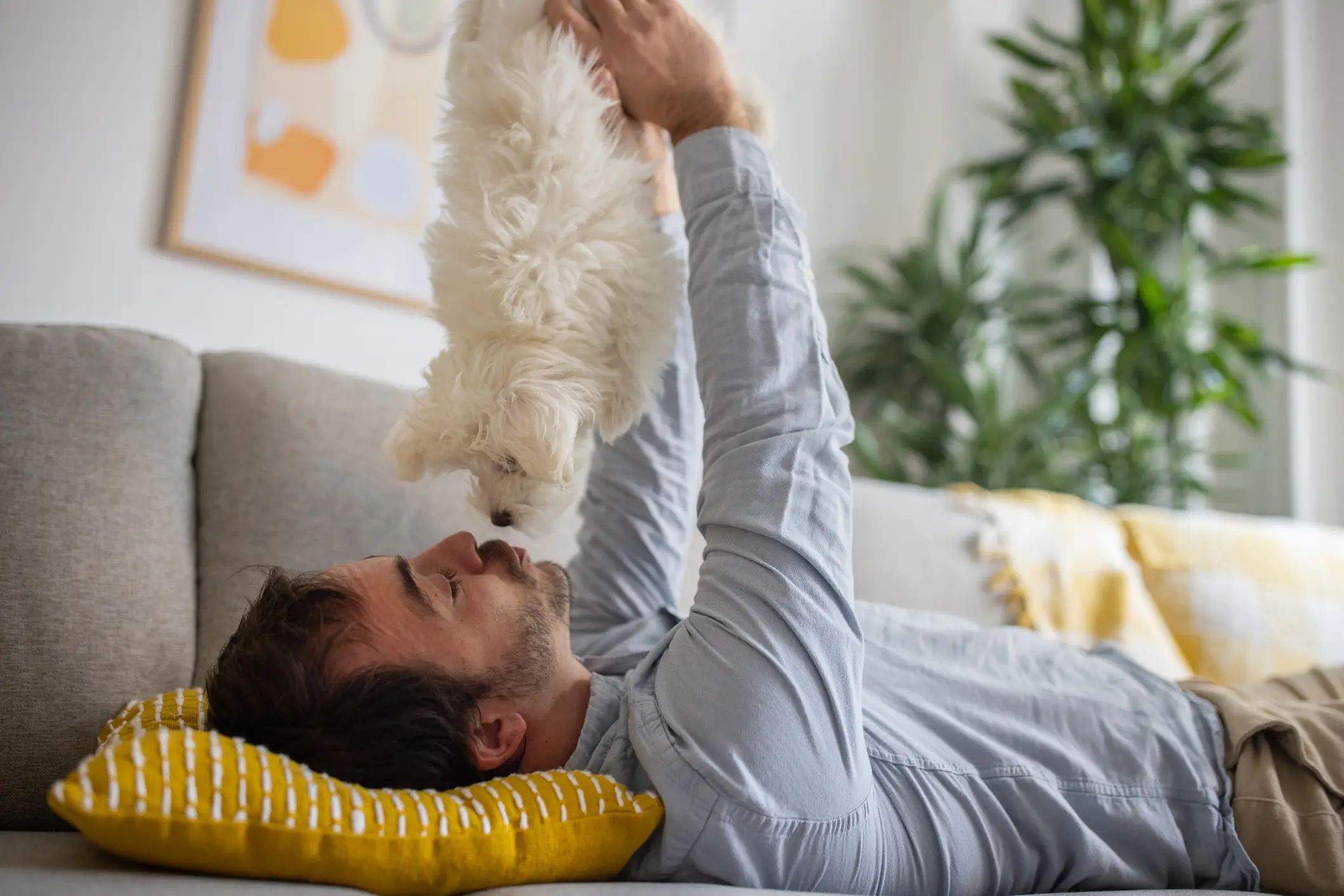 The less masculine the pet, the better (Getty Stock Images)