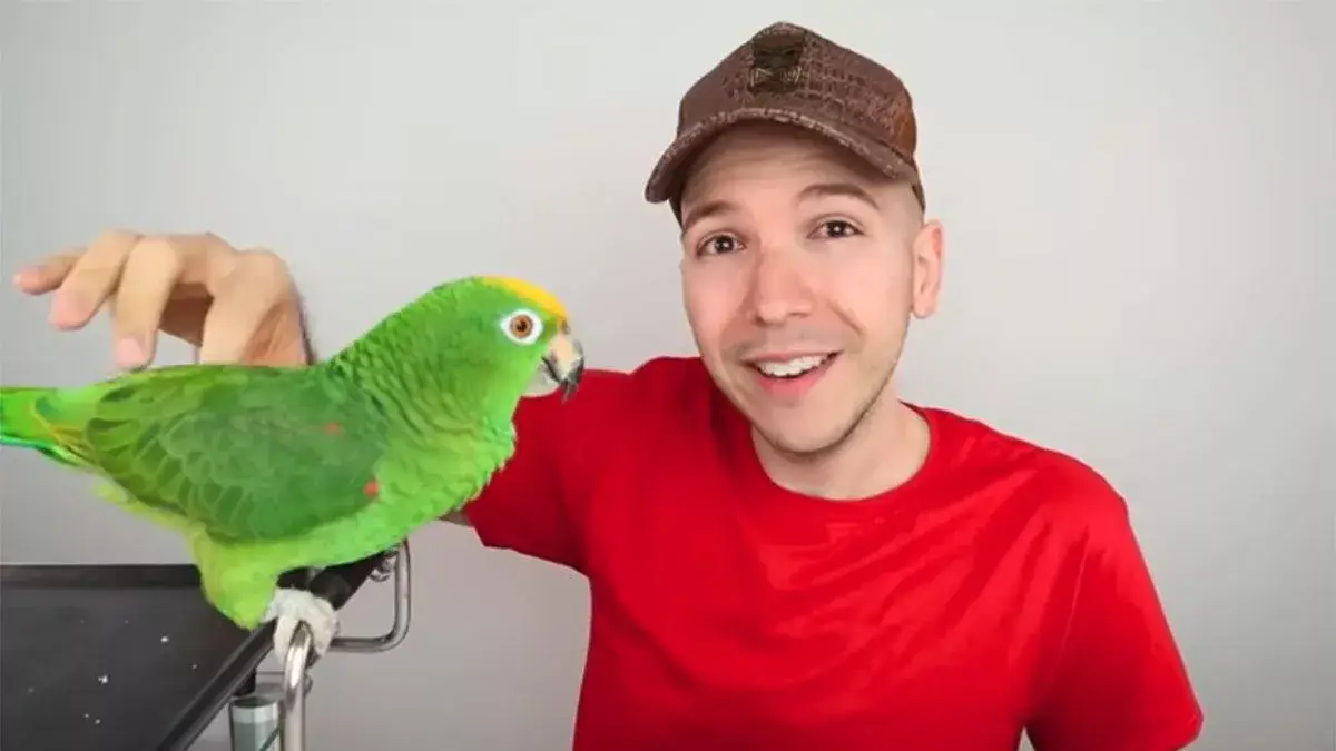 Here's what the content creator looks like now (YouTube/Nikocado Avocado)