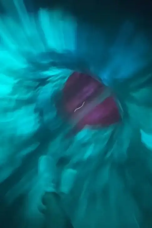 All was going well for the TikTokker at first.