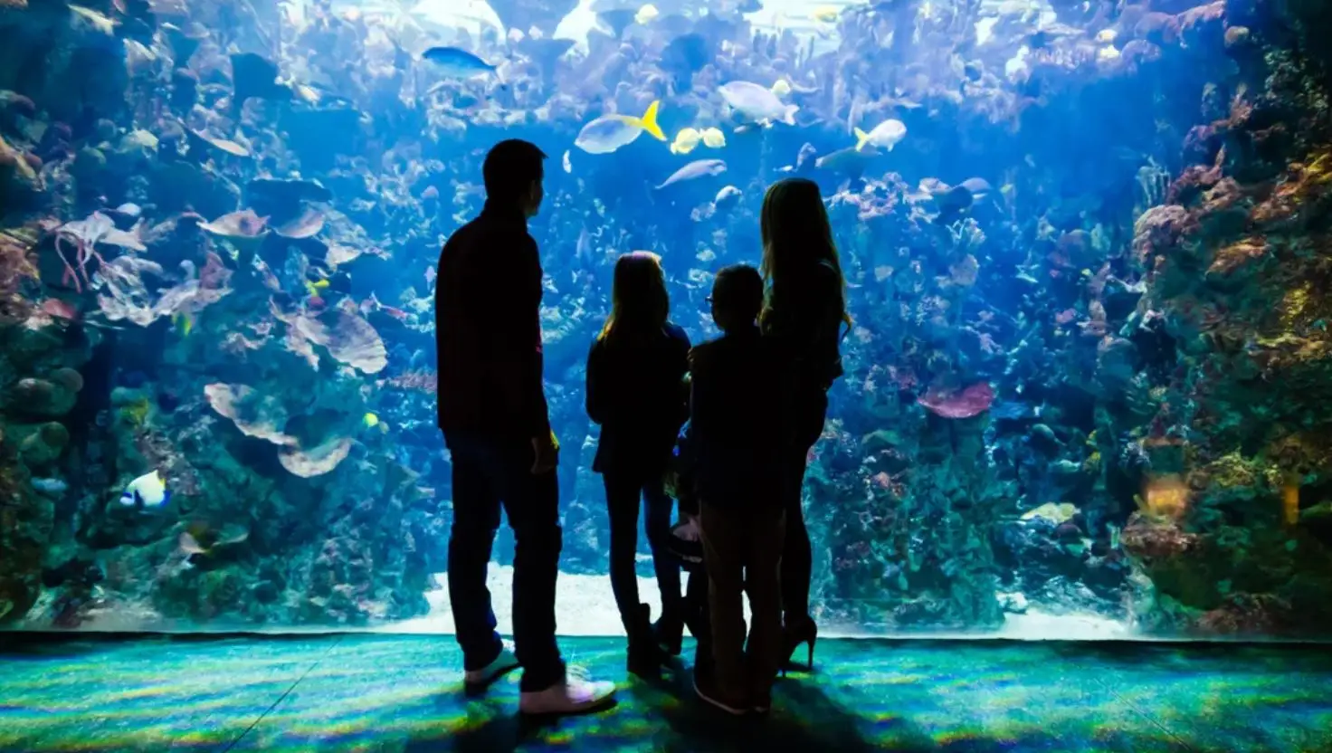 The Deep is the ultimate Hull-based day out (The Deep)