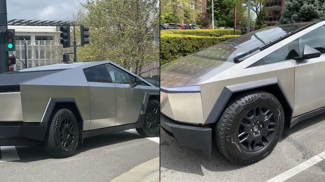 Lindsey Nicholson/UCG/Universal Images Group via Getty Images / Gado/Getty Images