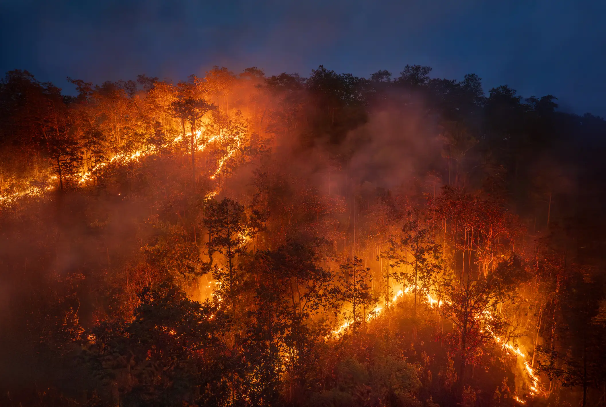 The strongest ever El Niño is coming (Getty Stock Images)