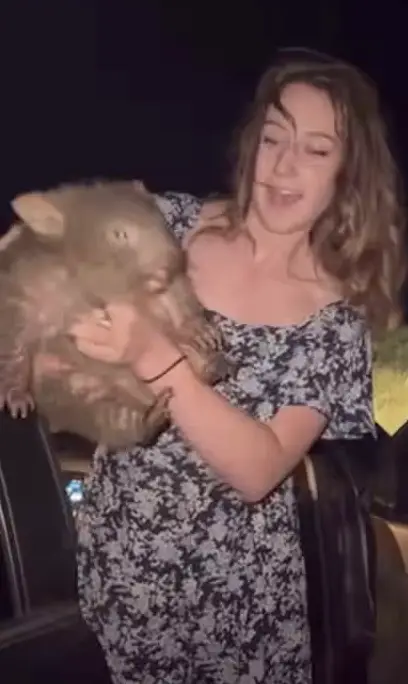 Sam Jones has been slammed for picking up the baby wombat as its worried mother gave chase (Instagram/@samstrays_somewhere)