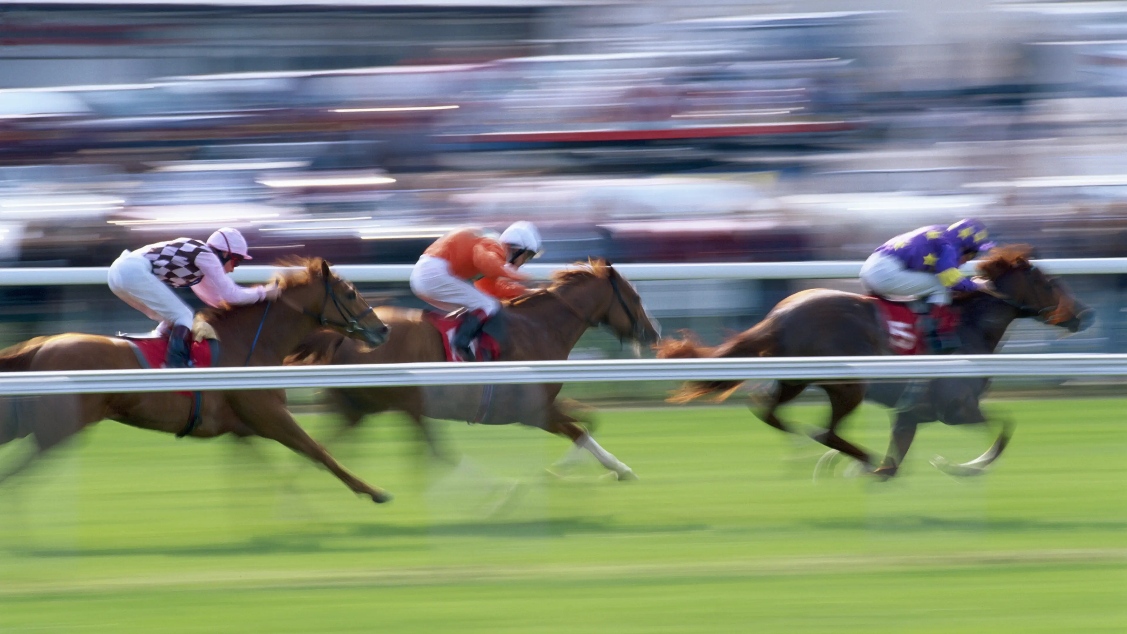 NetBet have deals every day for this year’s Cheltenham Festival 