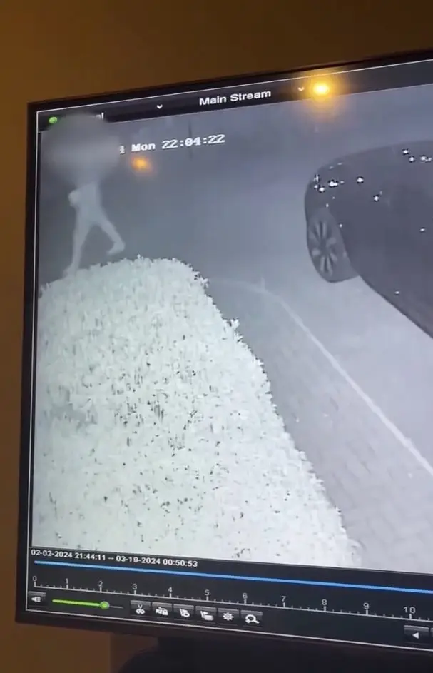 A neighbour managed to catch the culprit.