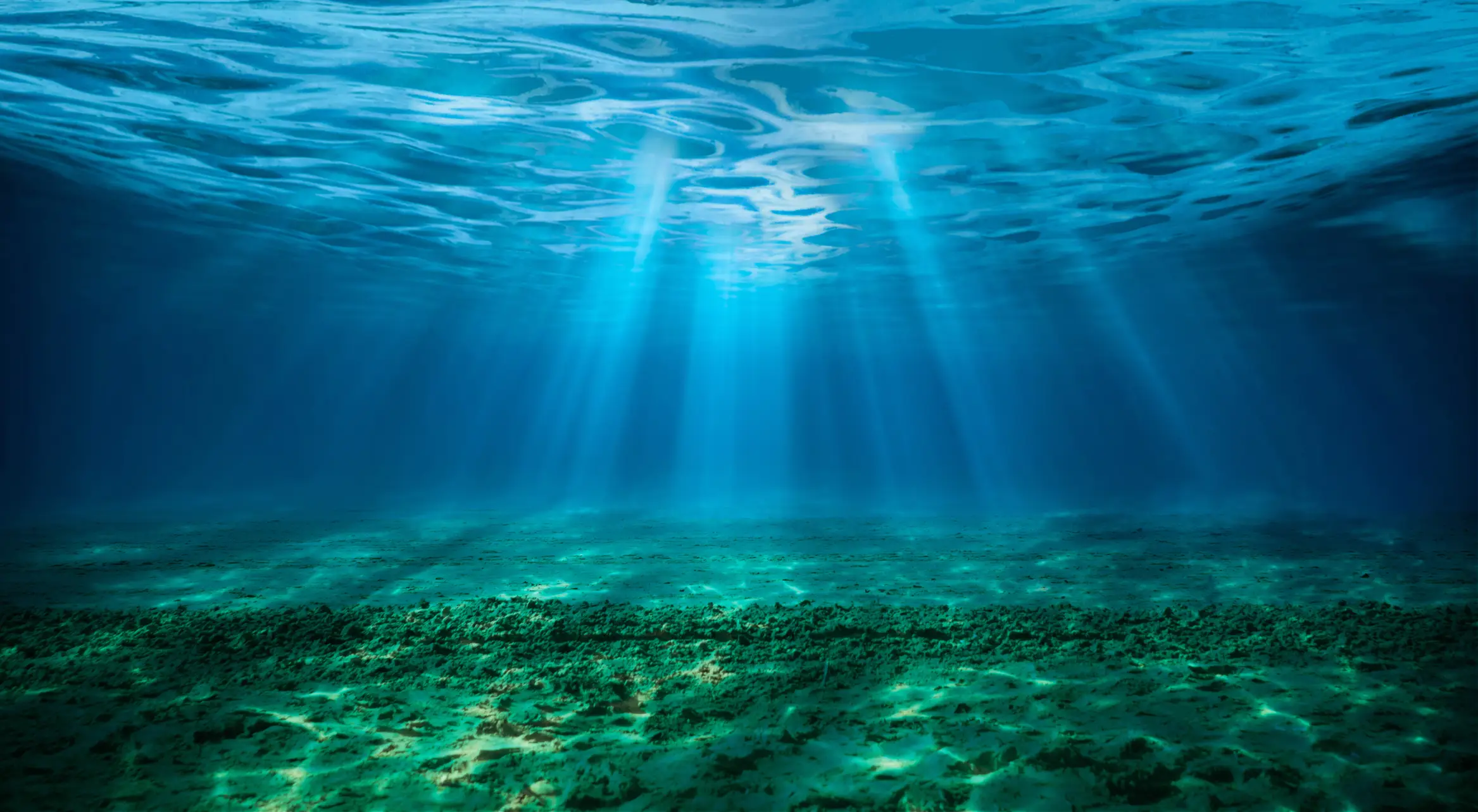 Researchers were taking a deep look at the bottom of the Red Sea (Getty Stock Images)