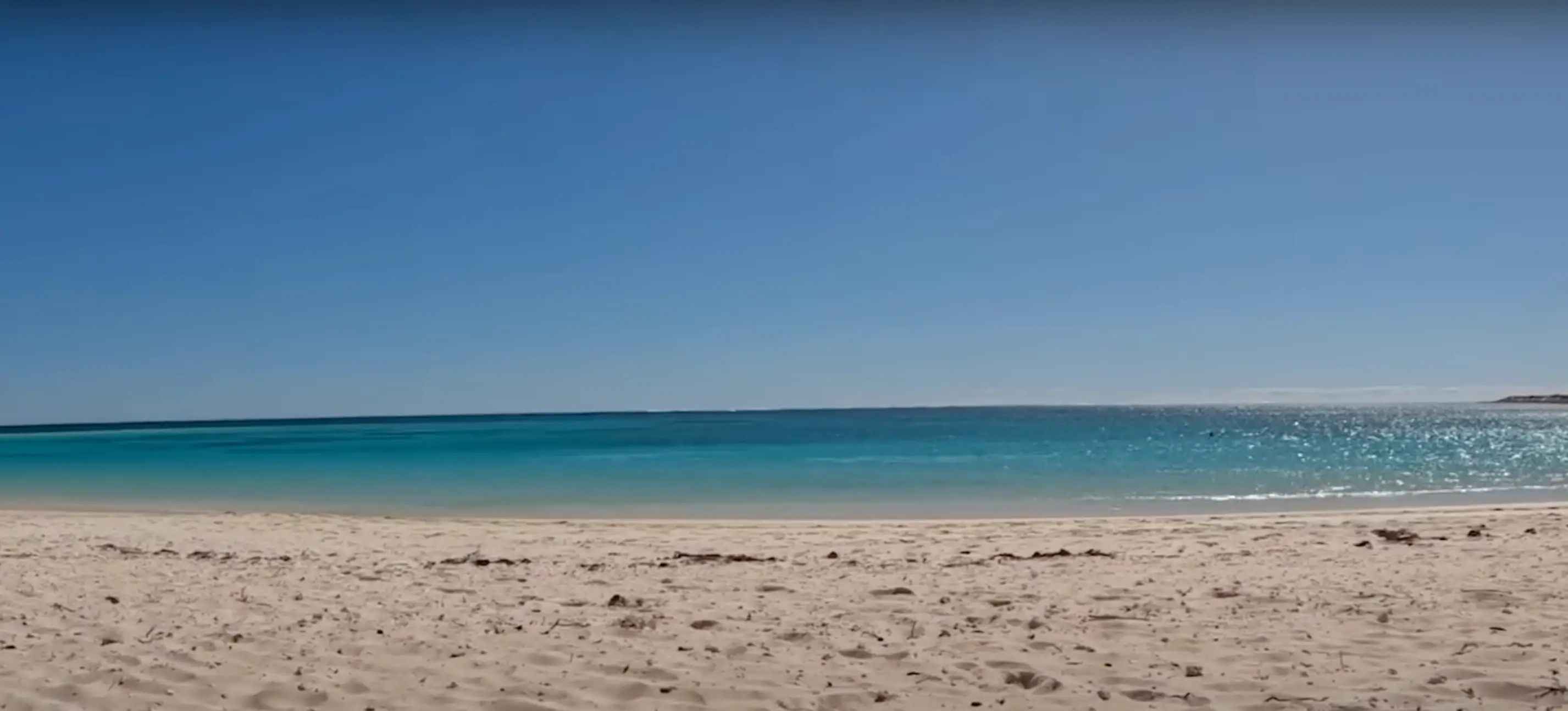The attack happened at a beach in Western Australia.