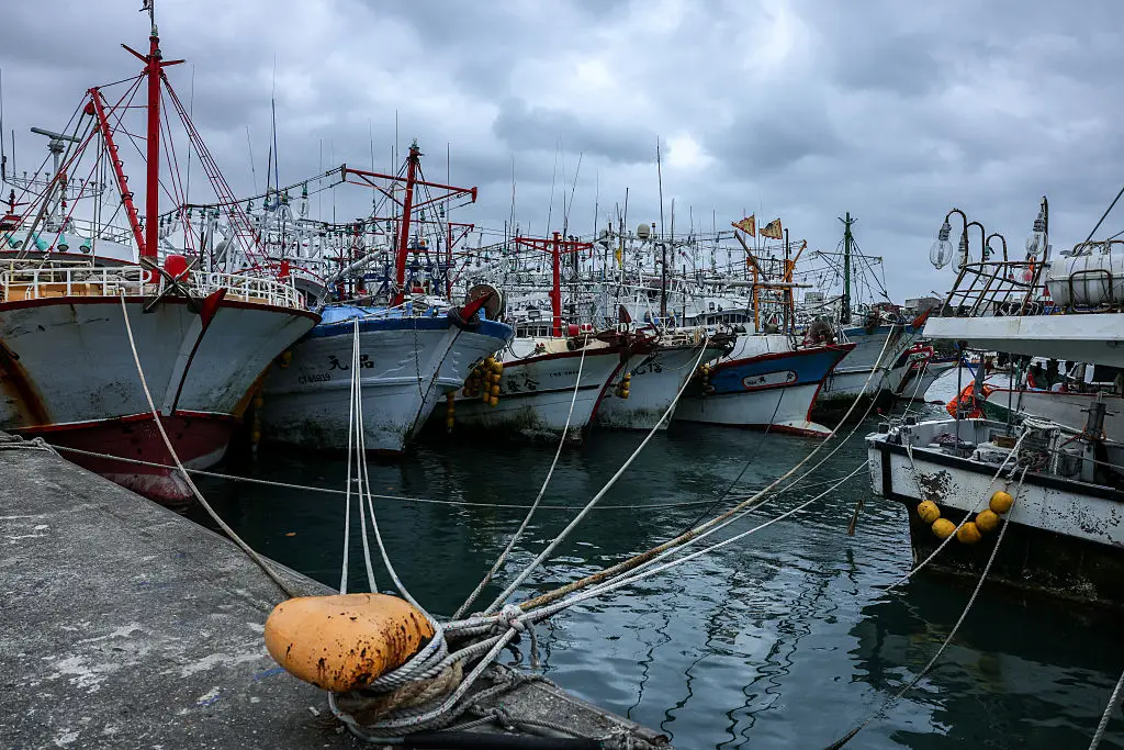 Fishing boats are moored at a fishing harbour as Typhoon Champi approaches Taiwan (I-Hwa Cheng / AFP via Getty Images)
