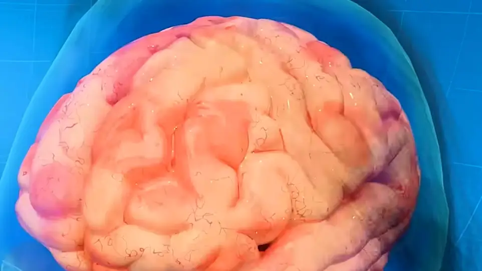 YouTube/I Wonder Why?