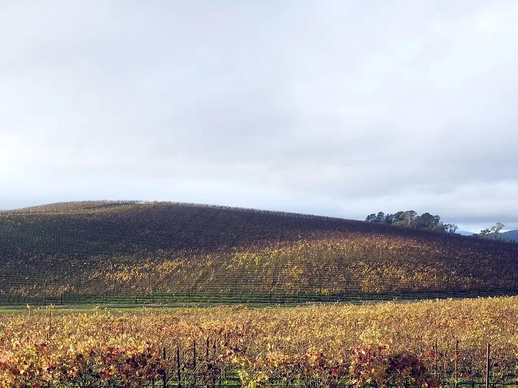 The location is now a vineyard (By Simon Goldin - Own work, CC BY-SA 3.0, https://commons.wikimedia.org/w/index.php?curid=1633984)