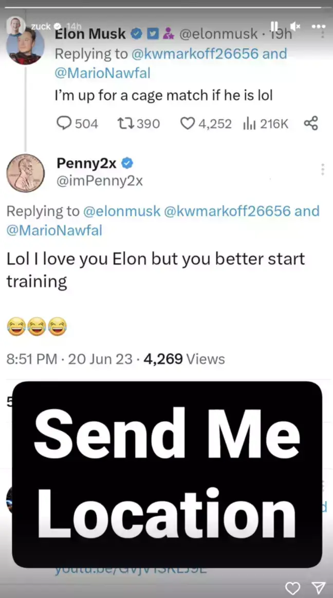 Fans were hoping to see a cage fight between Mark Zuckerberg and Elon Musk.