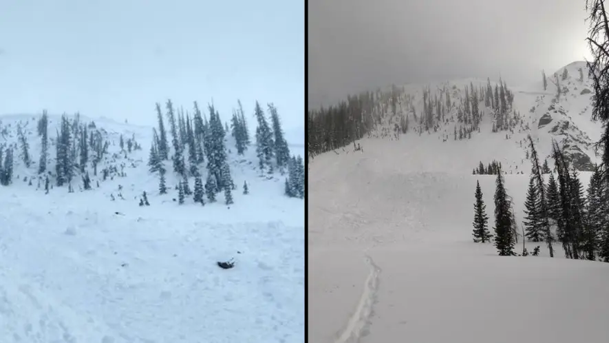 Chaffe County Search and Rescue North