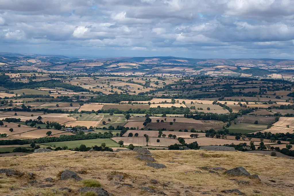 The UK has faced extremely dry conditions (Mike Kemp/In Pictures via Getty Images)