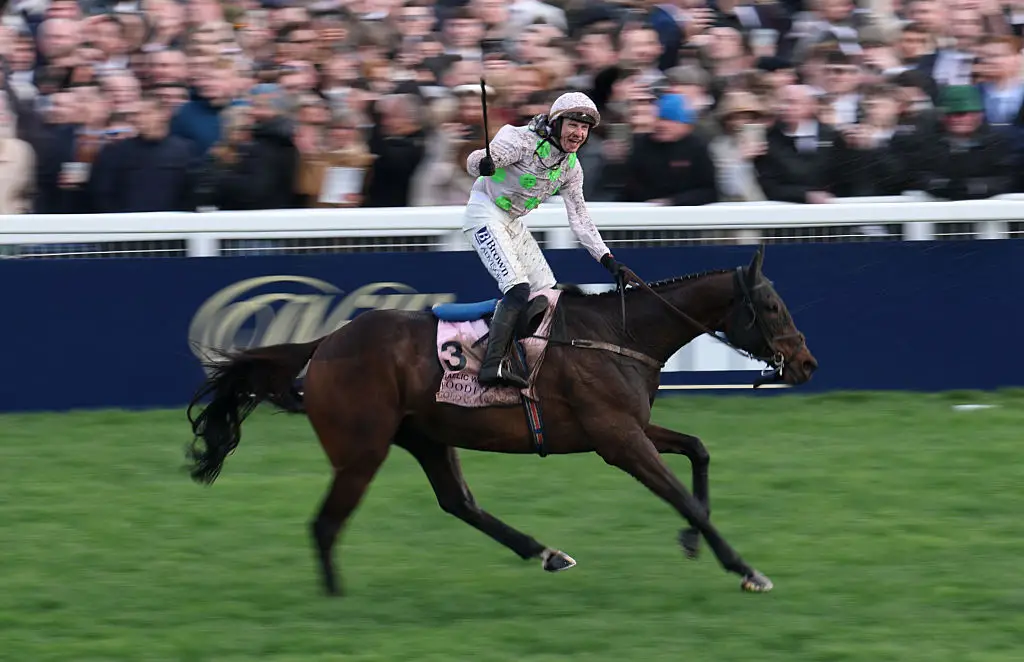 The pensioner won an incredible €558,000 (£483,000) from betting on Friday's Cheltenham Festival (Michael Steele/Getty Images)