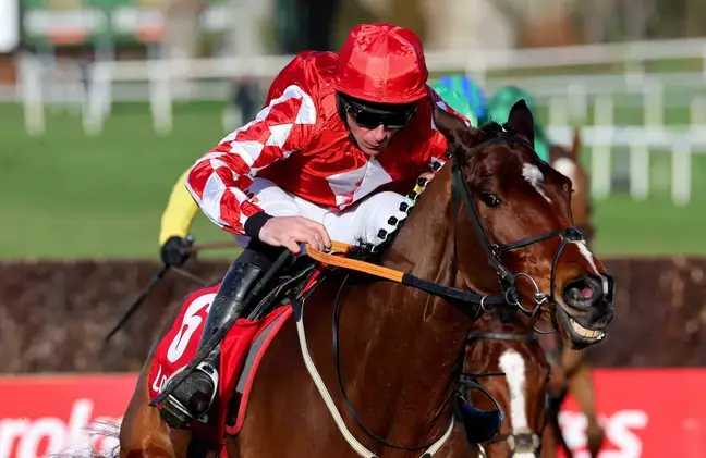 The lucky punter took home a fortune from a very humble bet.