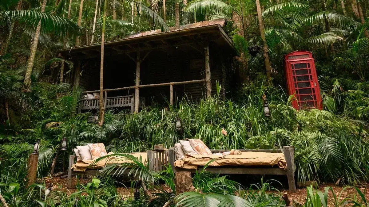 Reality behind I’m A Celeb 2025 camp with ‘fake’ jungle and roof over it