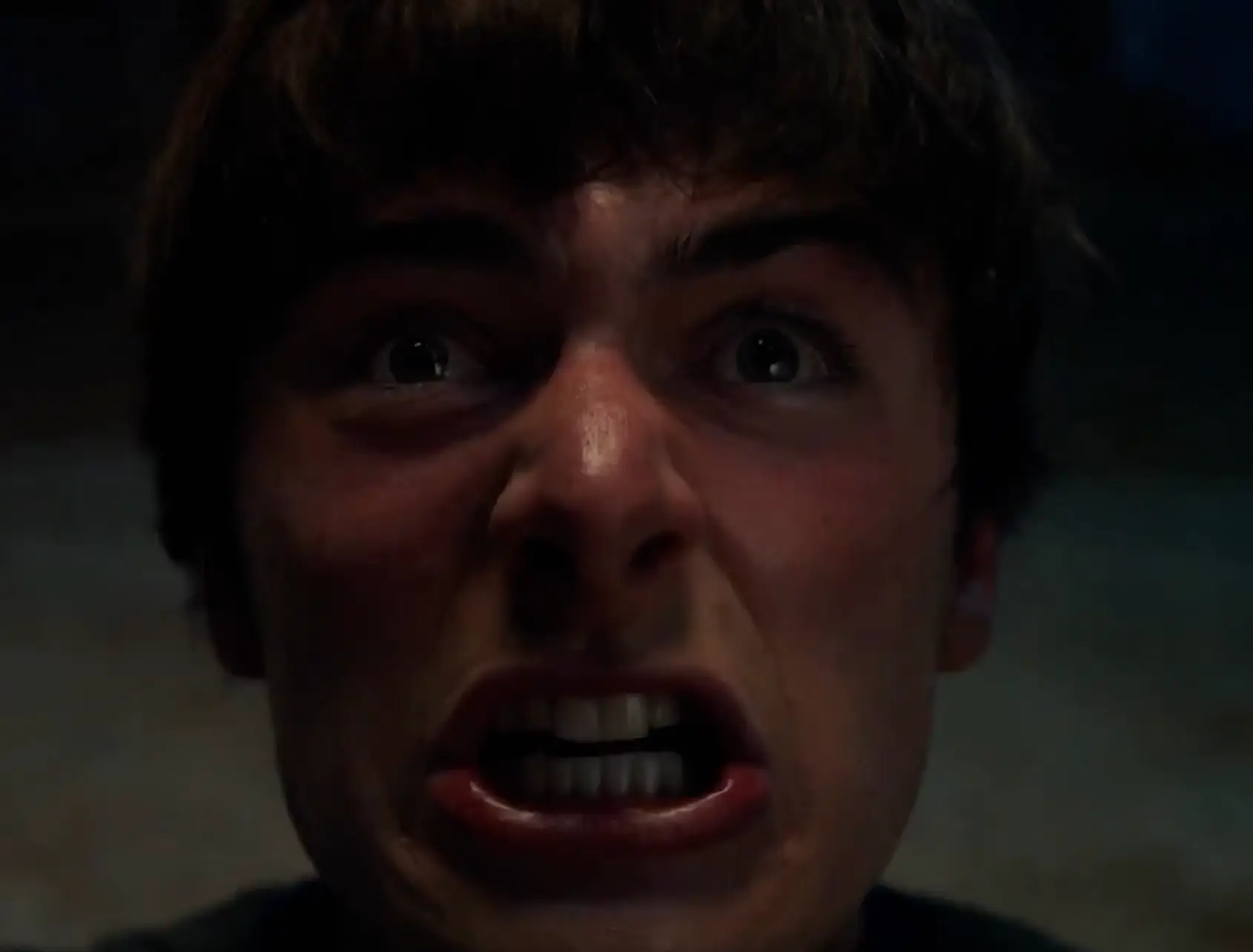 Will is amongst several members of the main cast to return (Netflix)