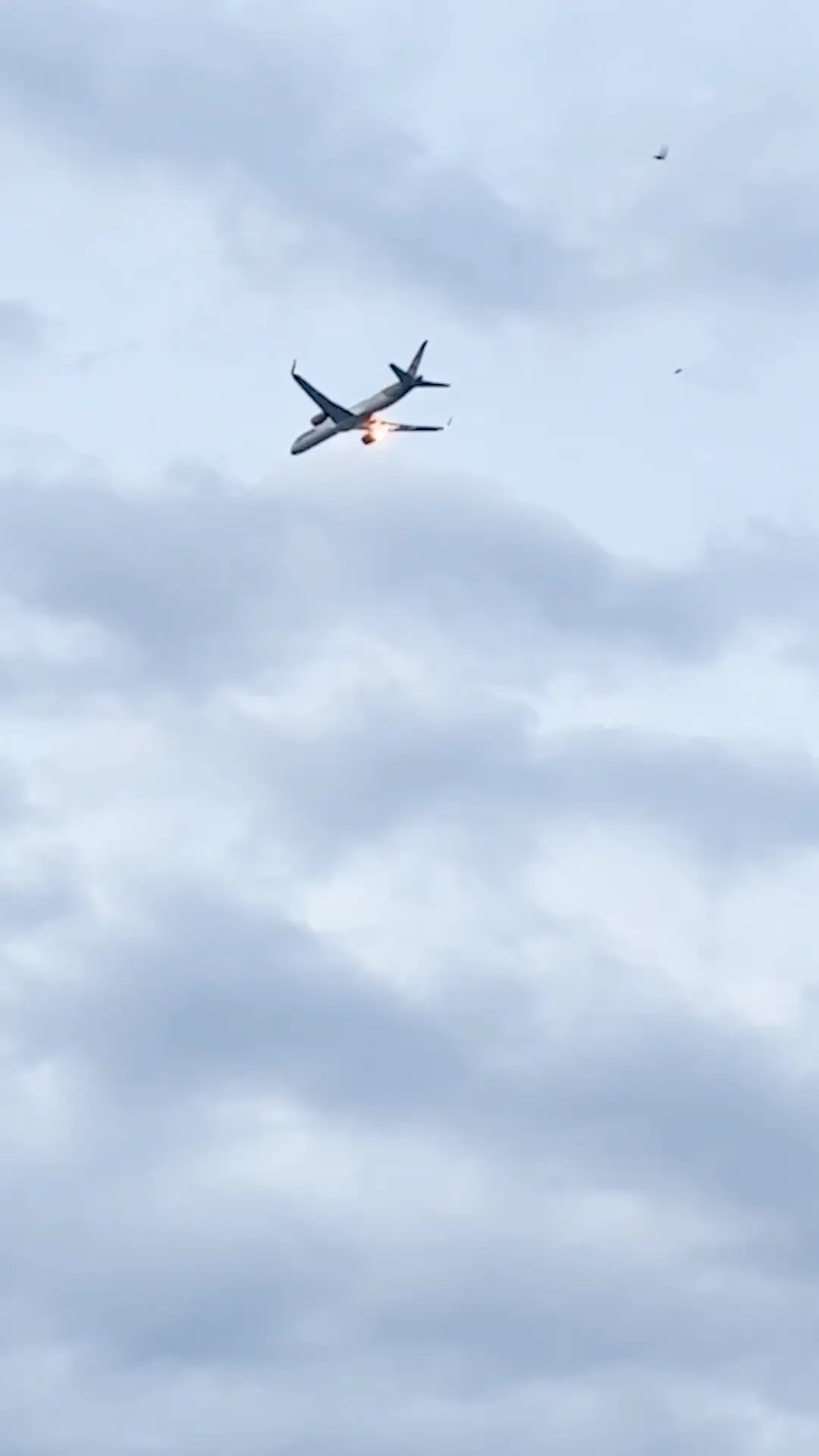 The plane's descent and emergency landing scared passengers (Viral Press)