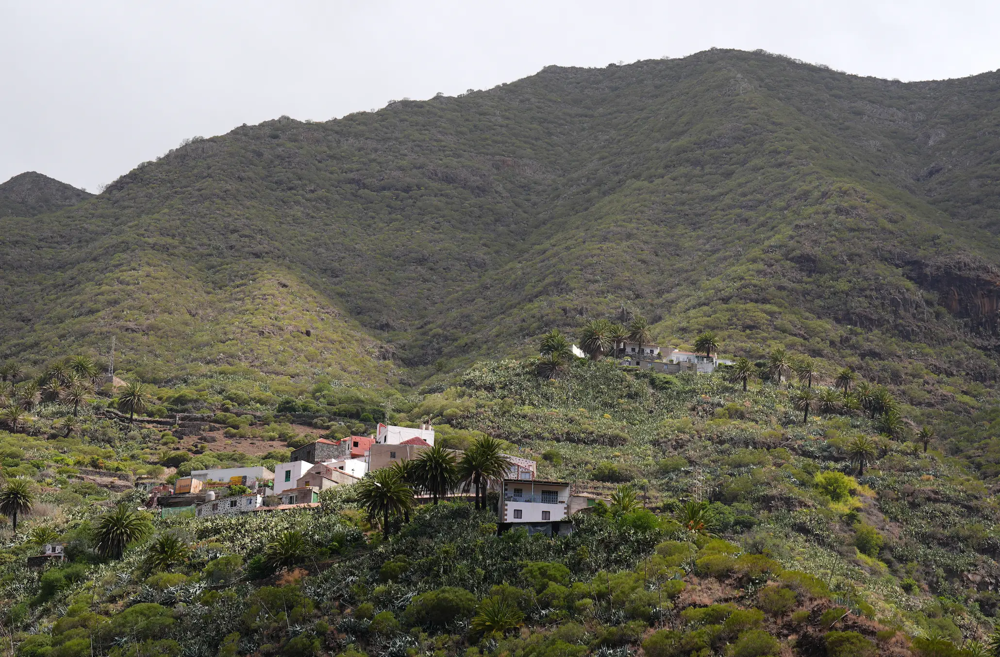 Police have been searching around Masca (PA)